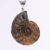 AMMOLITE PENDANT