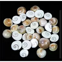 GOMTI CHAKRA