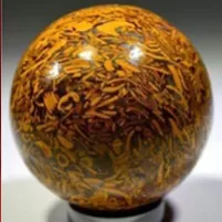 Maryam Ball